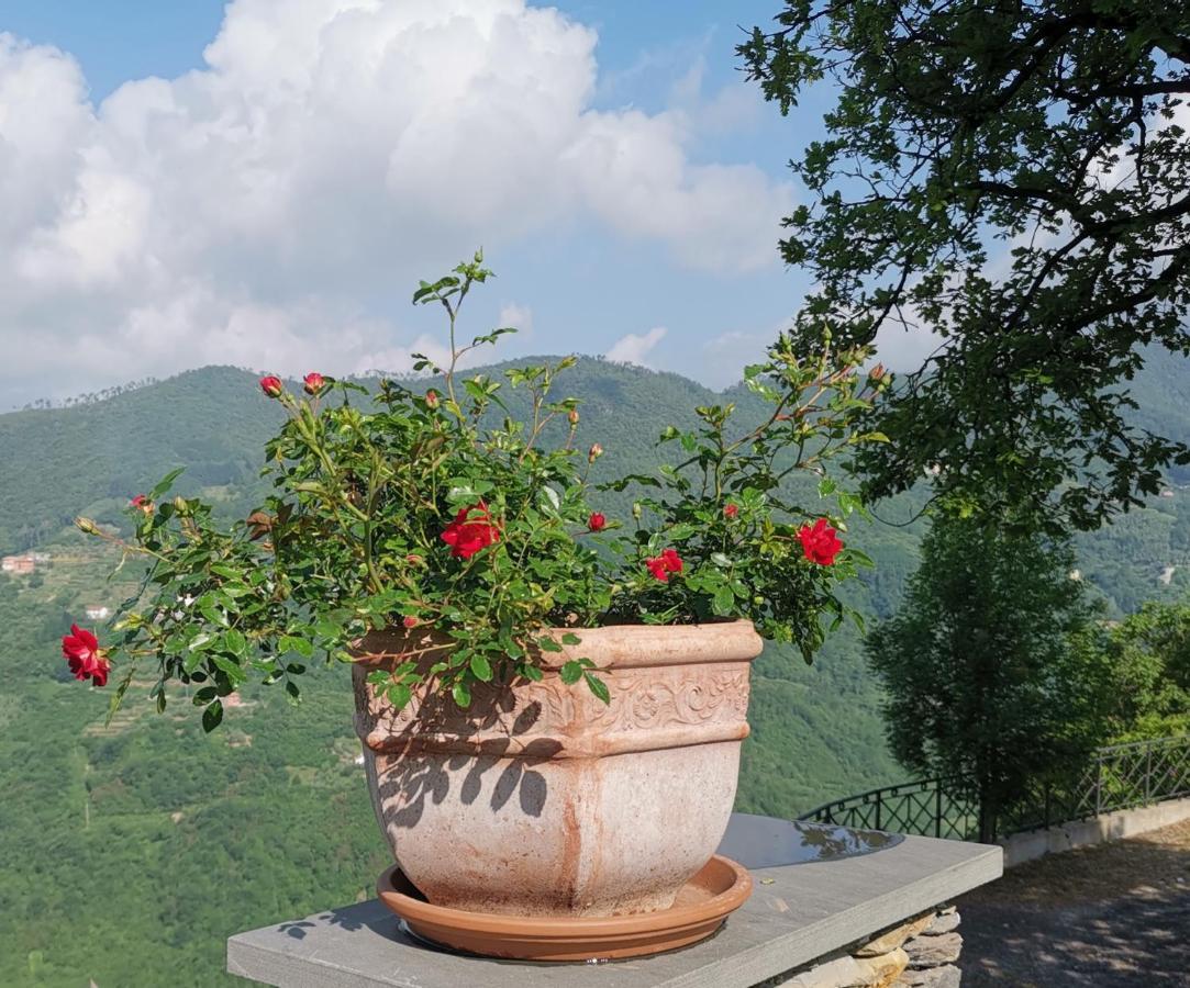 Elsa House Bed & Breakfast Mezzanego Luaran gambar