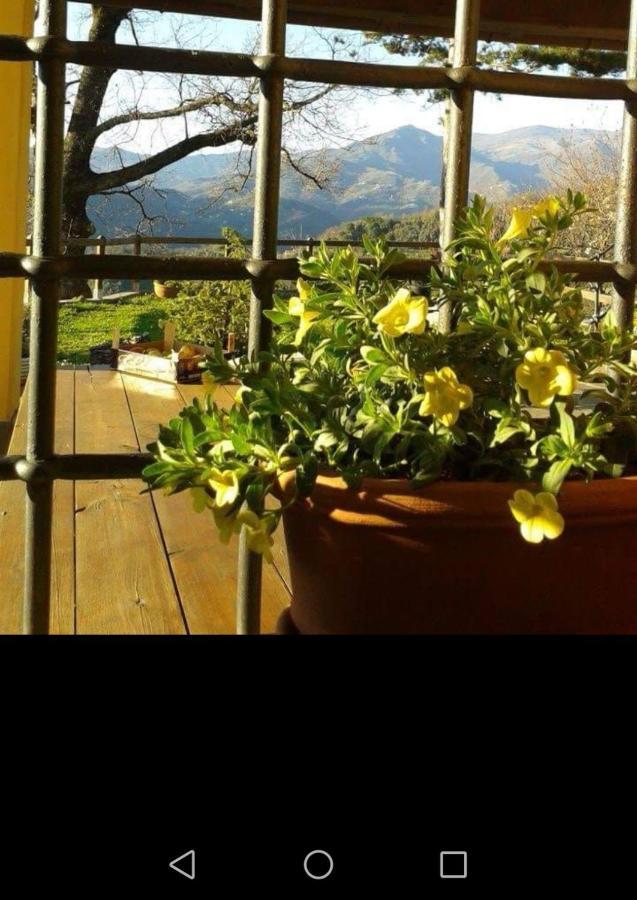 Elsa House Bed & Breakfast Mezzanego Luaran gambar