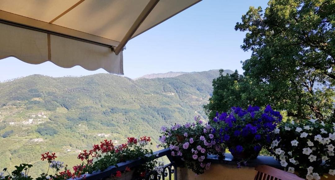Elsa House Bed & Breakfast Mezzanego Luaran gambar
