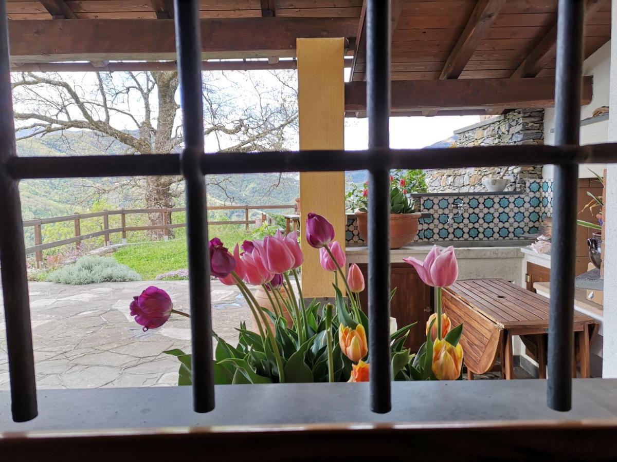 Elsa House Bed & Breakfast Mezzanego Luaran gambar