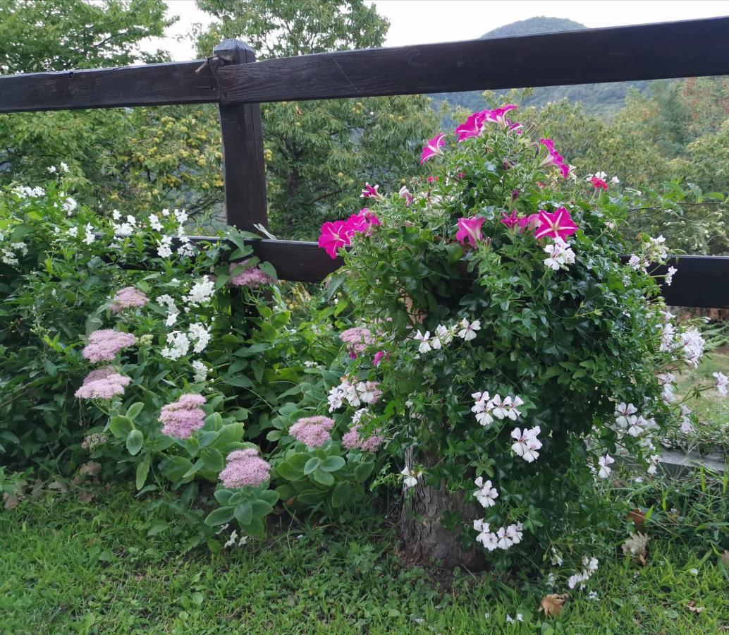 Elsa House Bed & Breakfast Mezzanego Luaran gambar