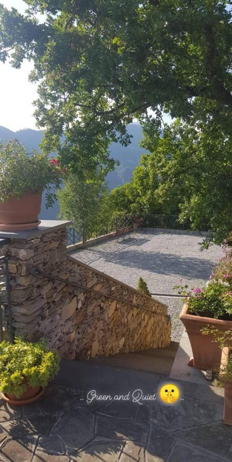 Elsa House Bed & Breakfast Mezzanego Luaran gambar