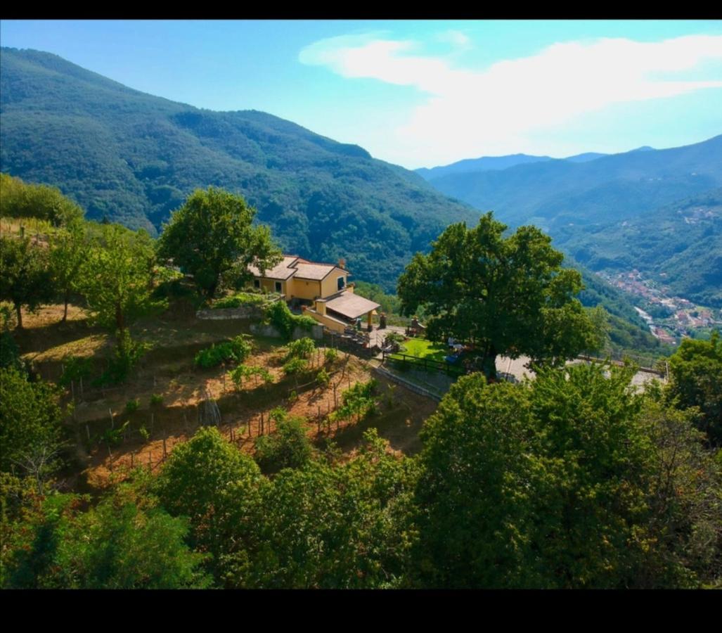 Elsa House Bed & Breakfast Mezzanego Luaran gambar